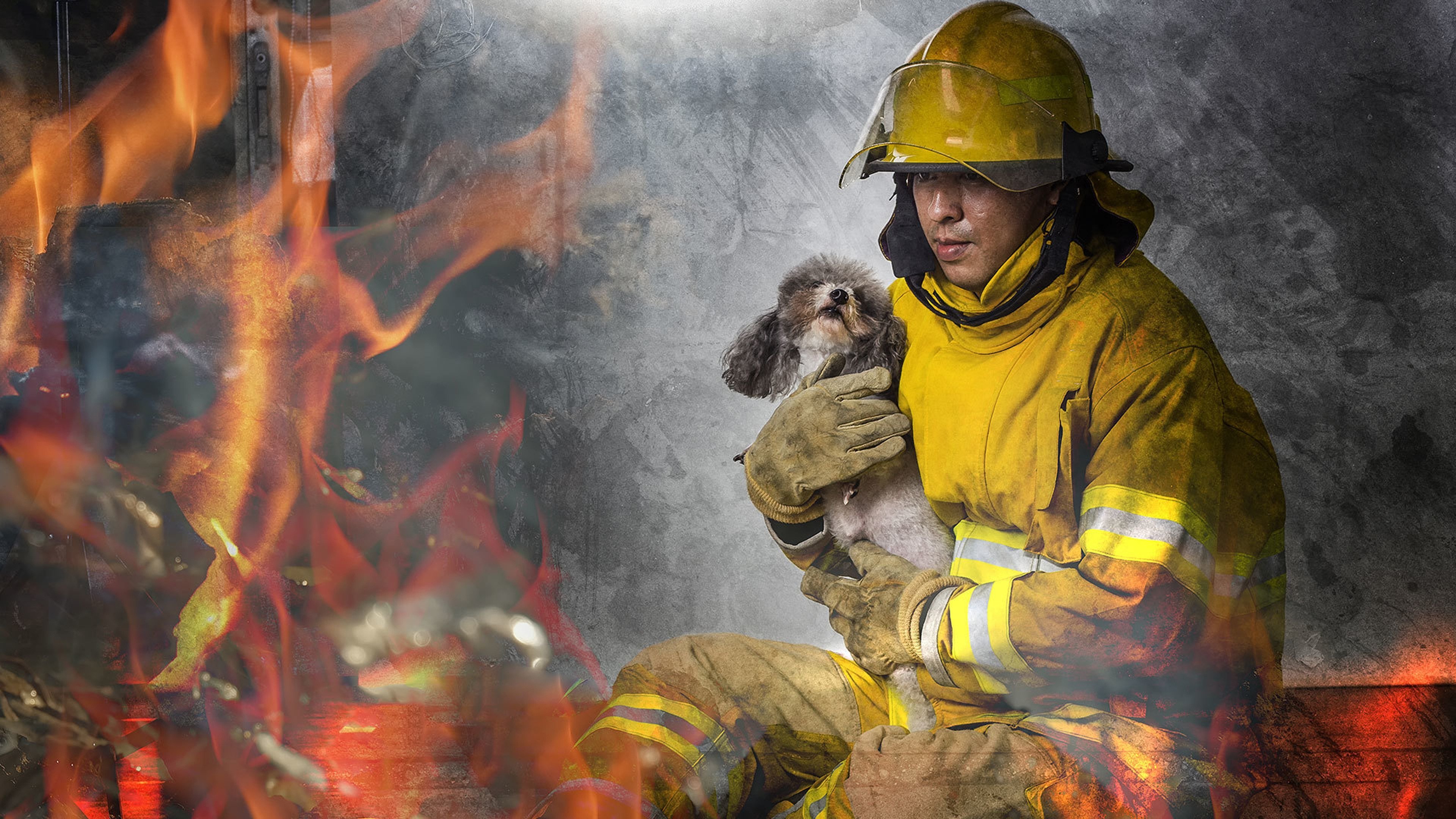 Пожарные спасают животных