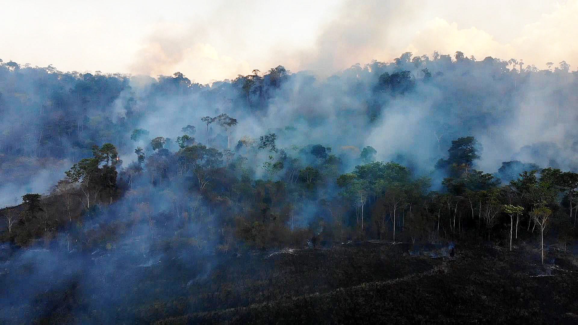 Amazon on Fire 14/09/20