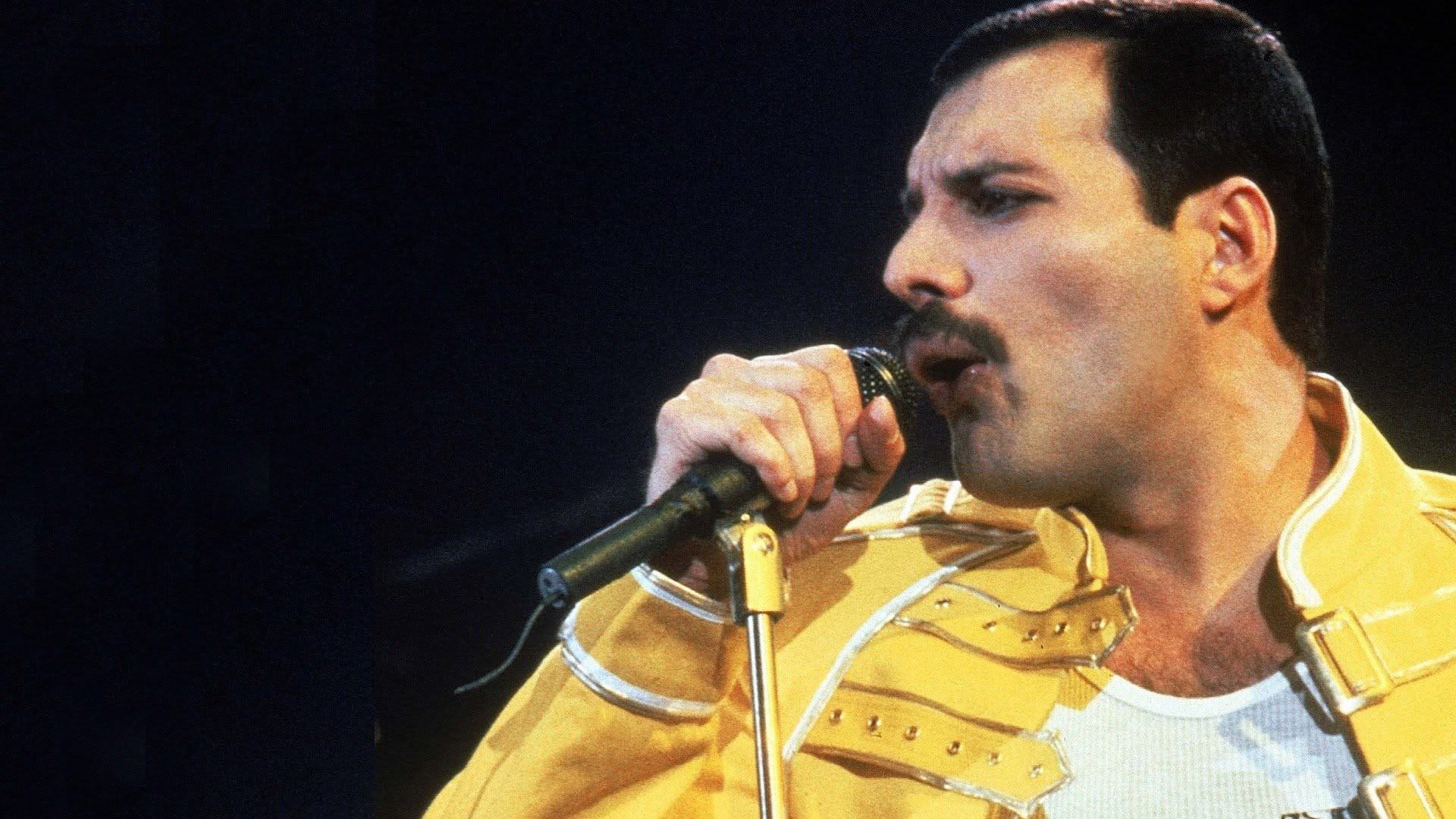 freddie mercury hd