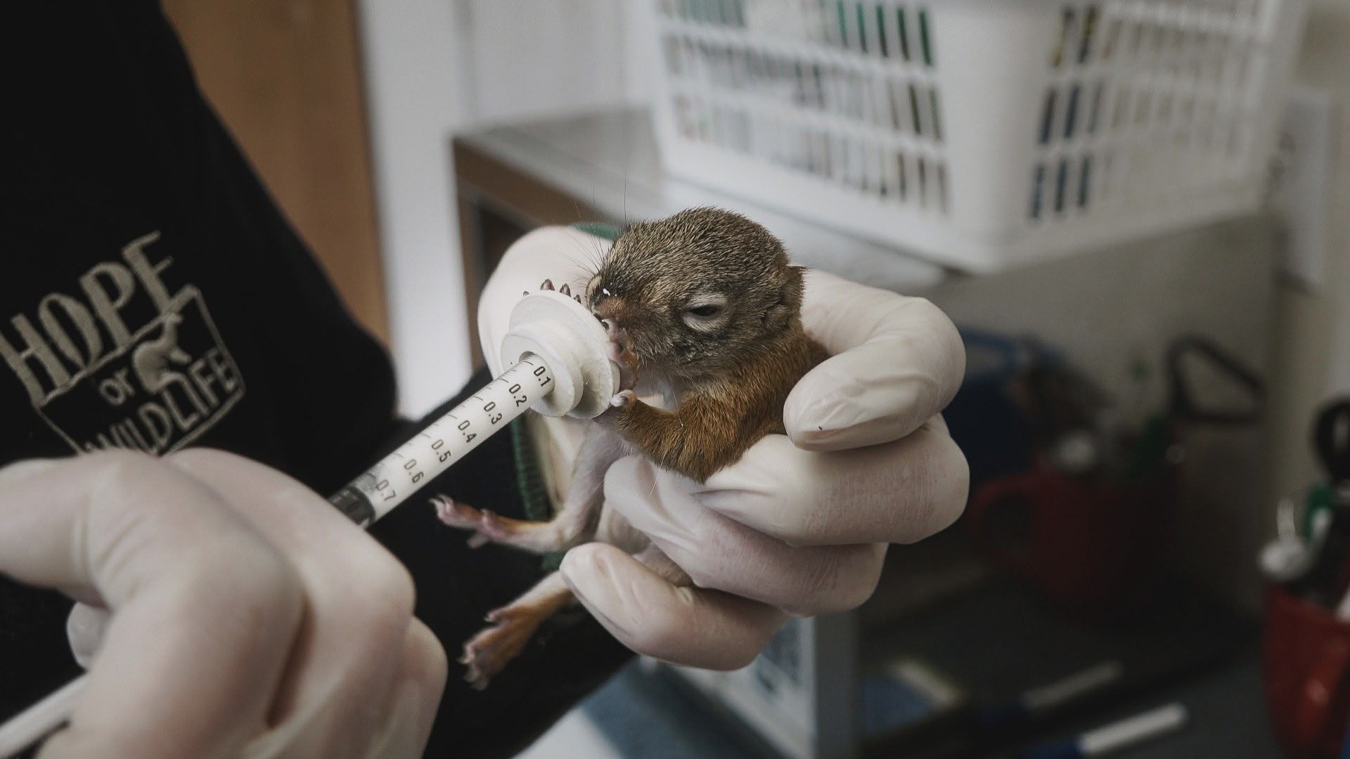 Hope for Wildlife Season 6 Episode 5