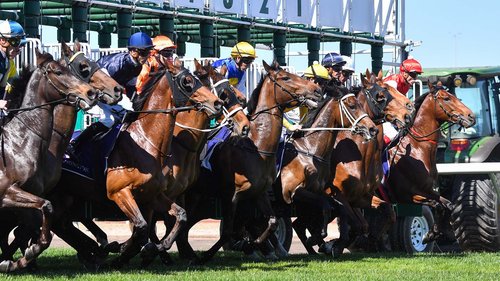 Live Australian racing from Canberra, Coffs Harbour and Sunshine Coast