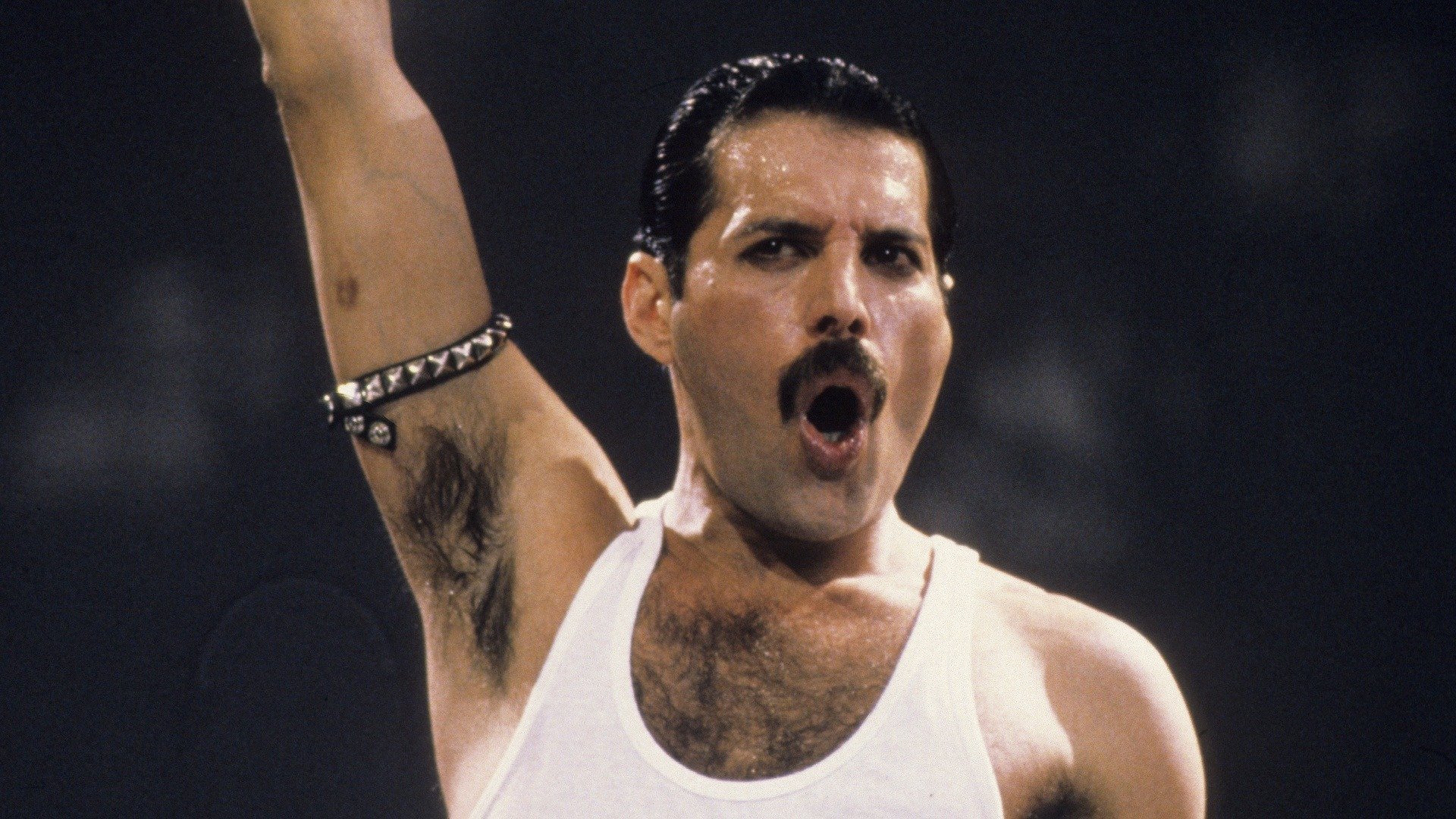 Freddie Mercury: A Life in Pictures