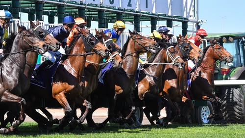 Live Australian racing from Canberra, Tamworth and Rockhampton.