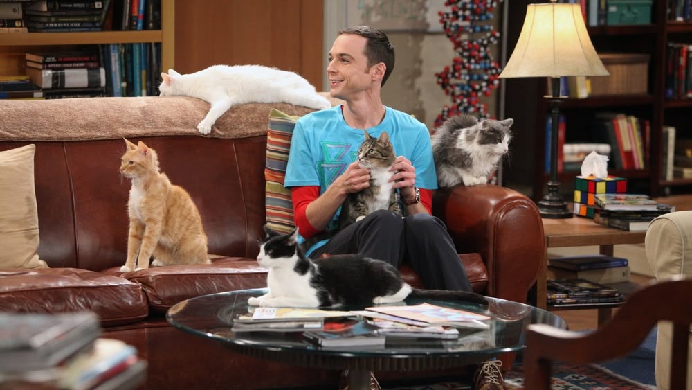 Big bang theory hot sale season 4 episodes