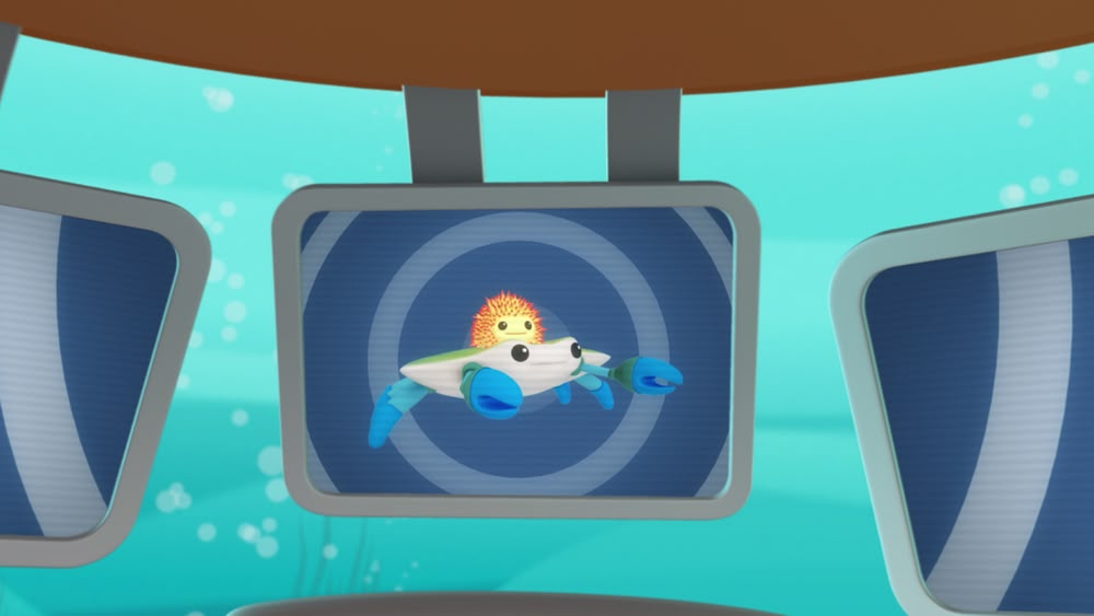 Octonauts Creature Reports Season 1 Episode 18 Sky Com