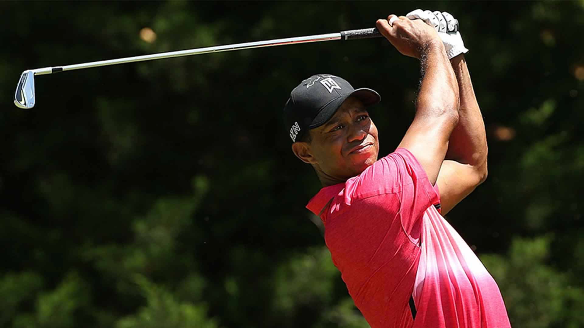 Chronicles Of A Champion Golfer