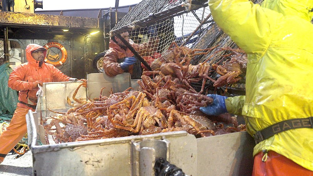 Awesome Big Alaska King Crab Fishing on The Sea - Fastest Catching