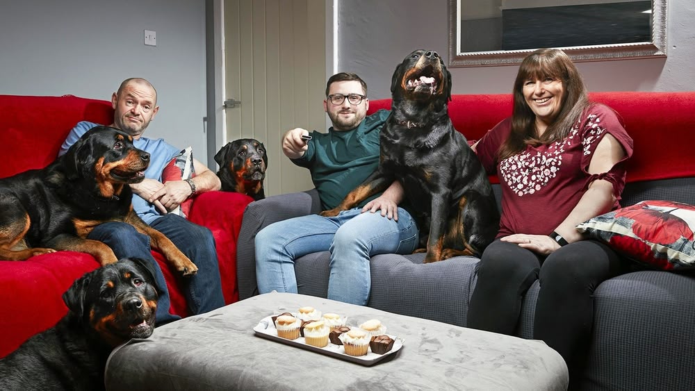 Gogglebox Season 17 Episode 7 Sky