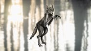 Skinwalker The Howl Of The Rougarou Sky