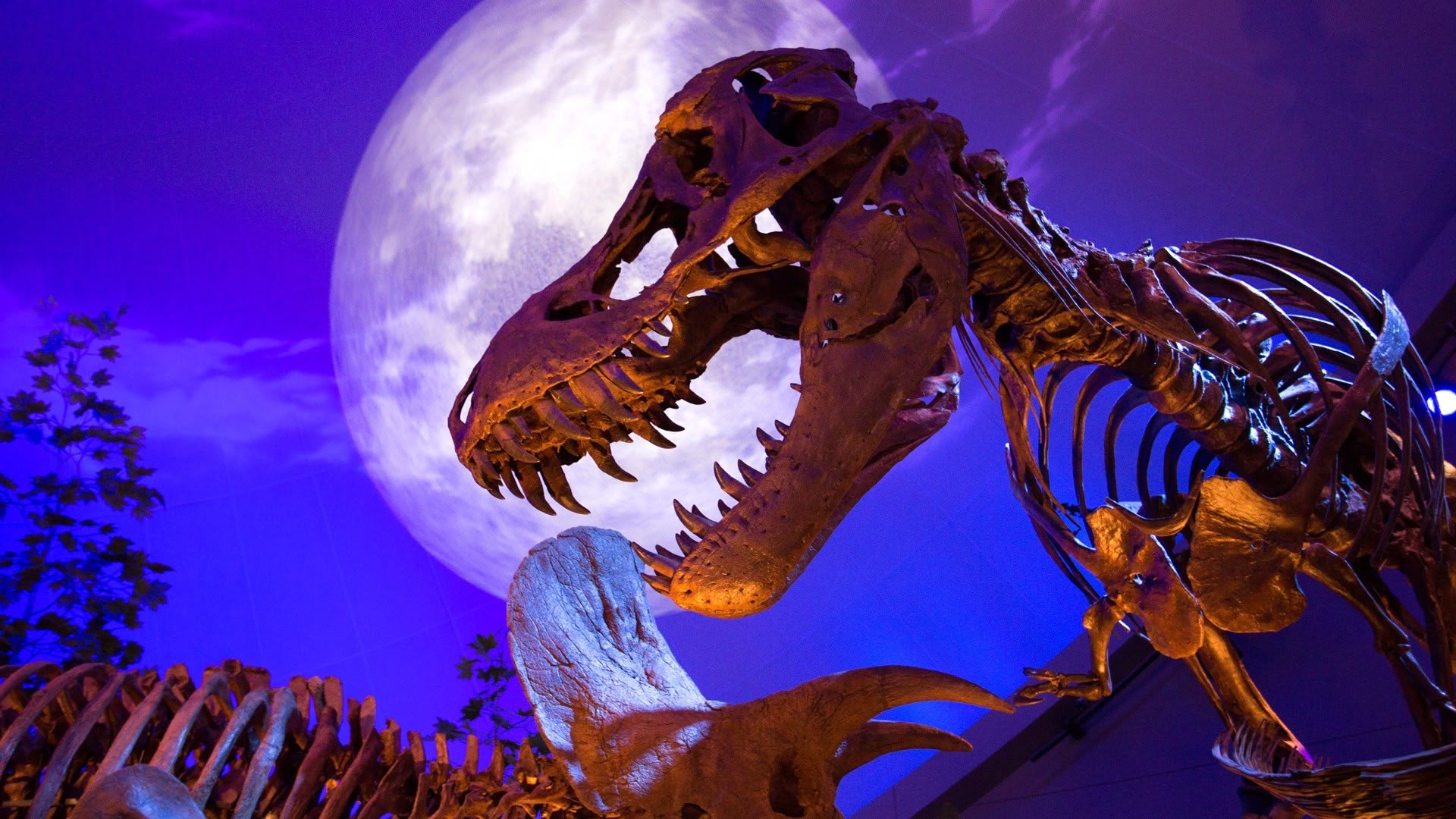T Rex Ultimate Survivor Sky Com