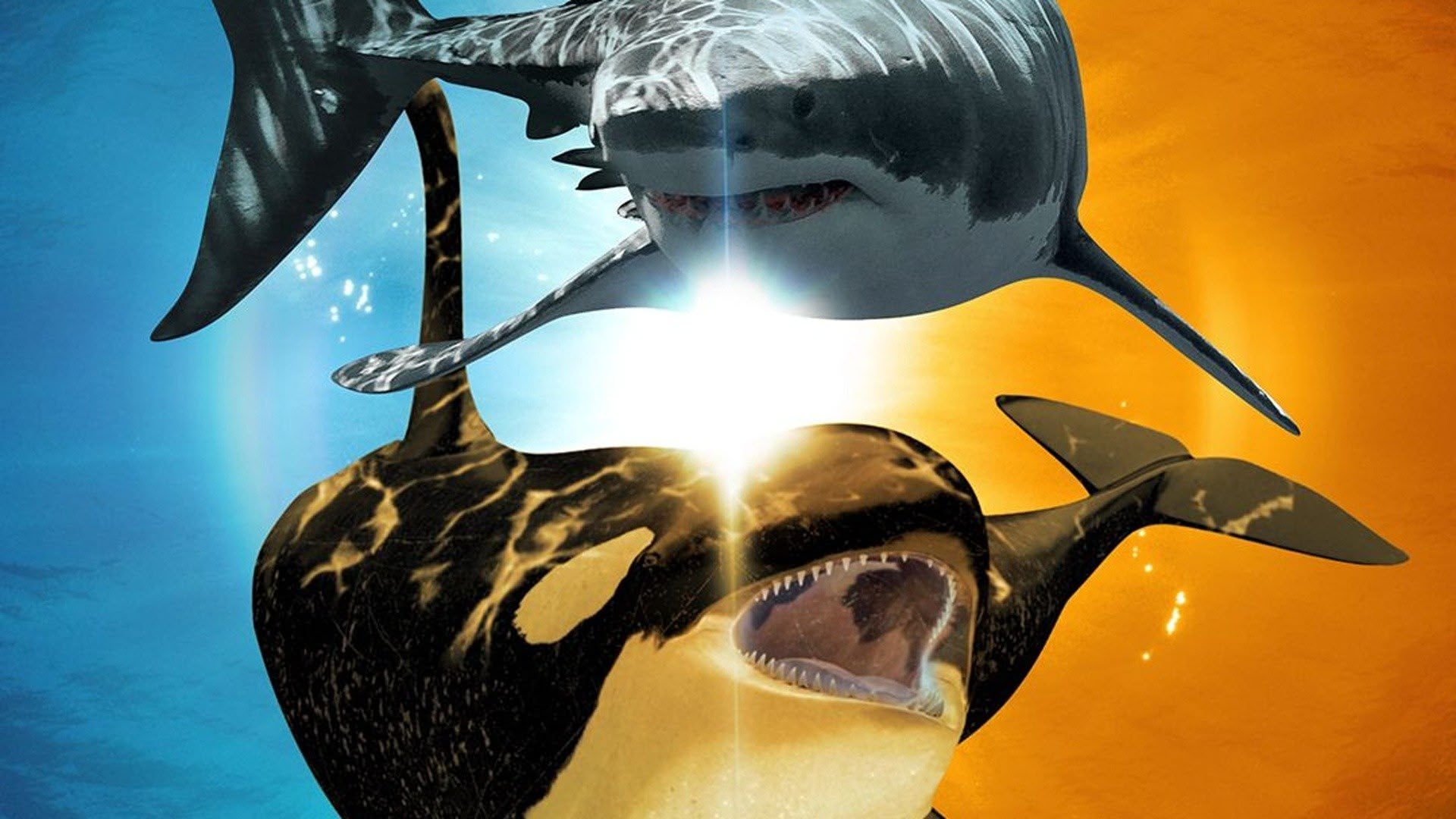 Megalodon Shark Vs Killer Whale