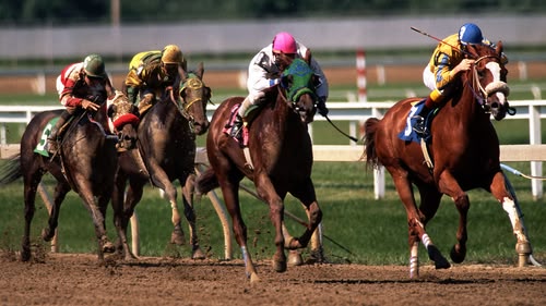 Live US racing from Gulfstream, Saratoga, Woodbine, Monmouth, Ellis Park,Del Mar, Emerald Downs, Hawthorne and Mountaineer.