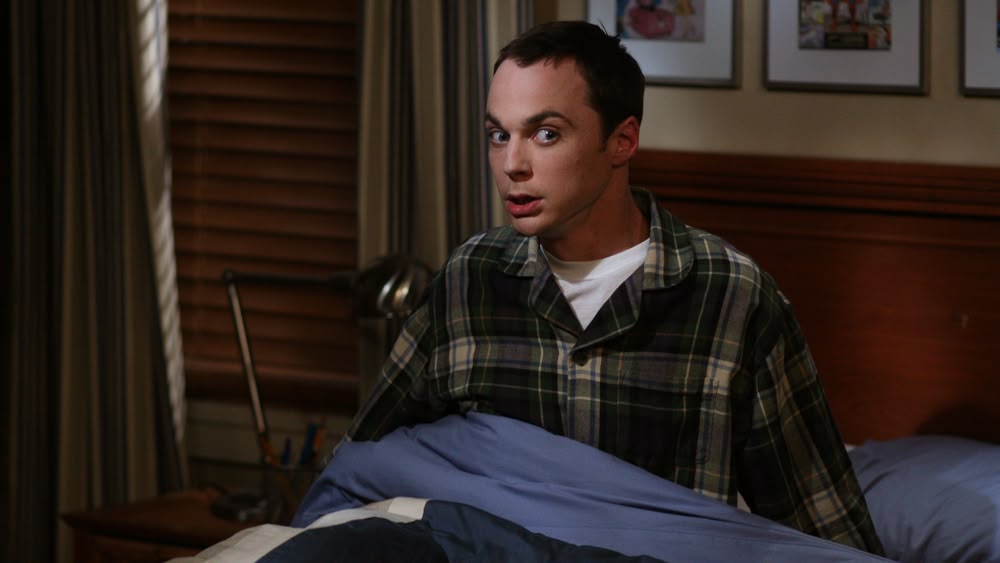 Big bang theory season hot sale 12 episode 14 online