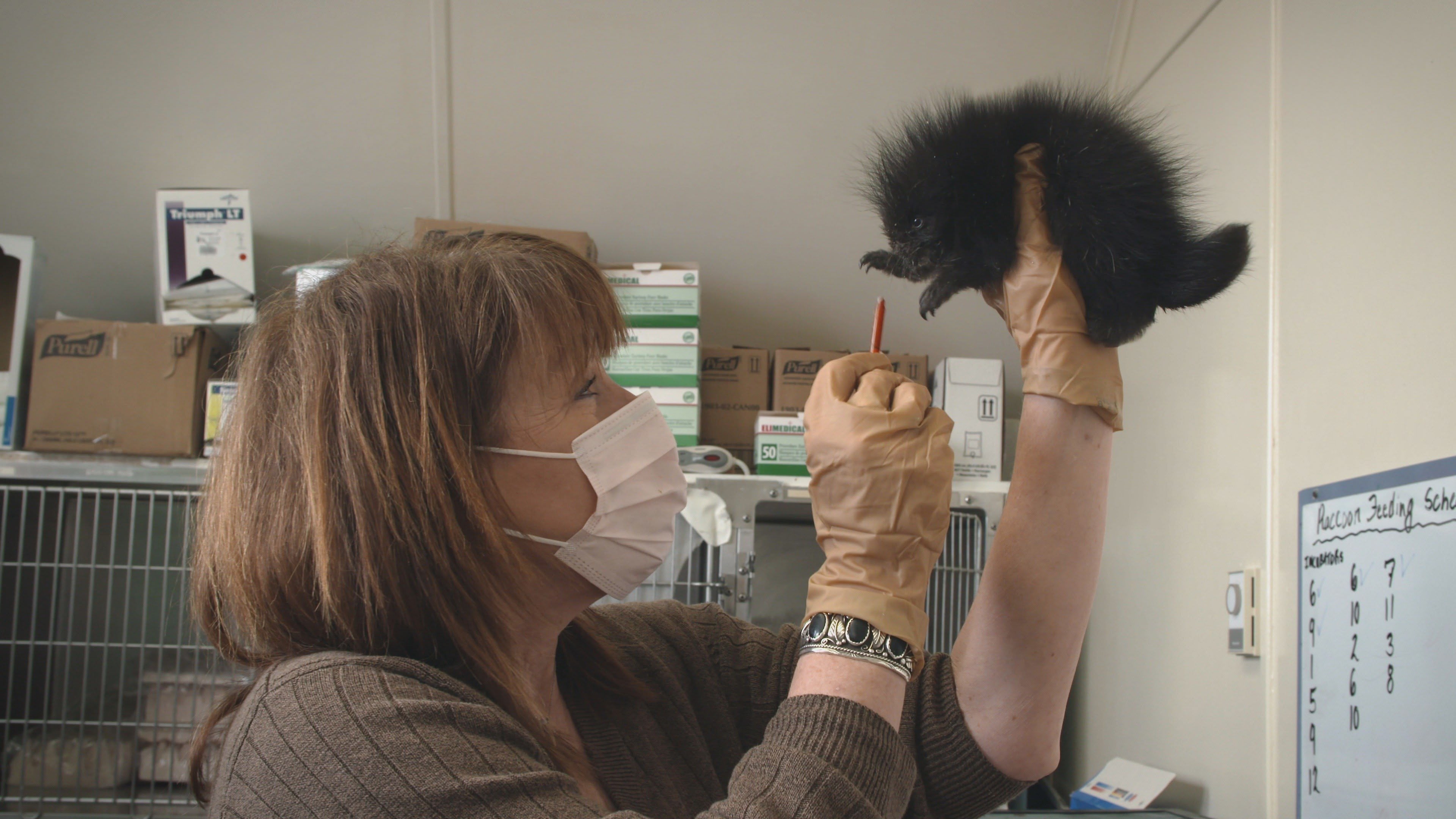 Hope for Wildlife Season 6 Episode 10