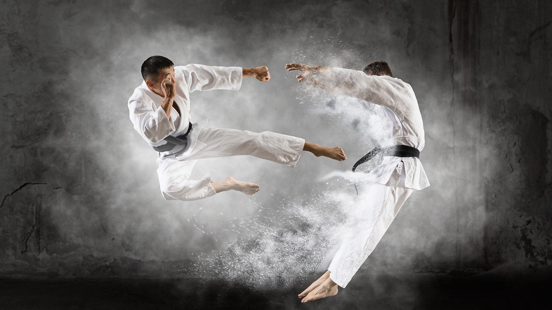 Kyokushin Fight