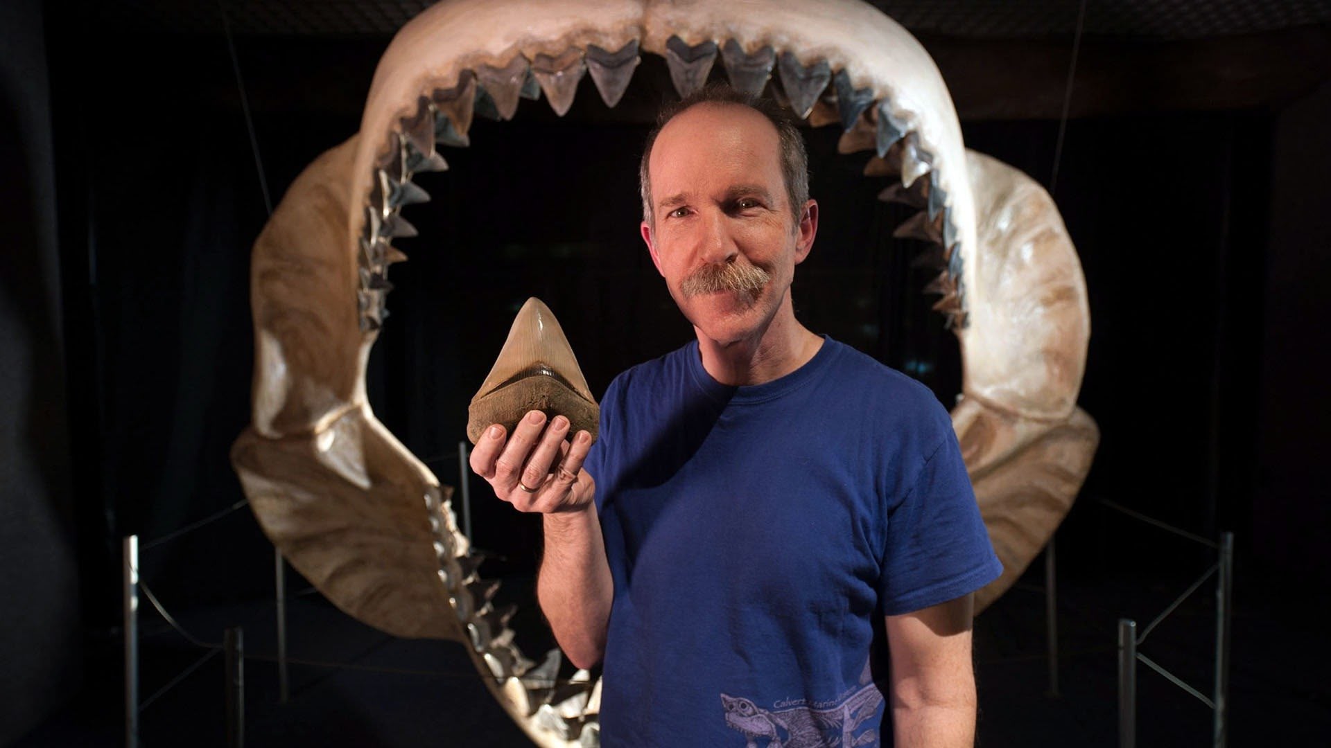 Top 10 Biggest Beasts Ever