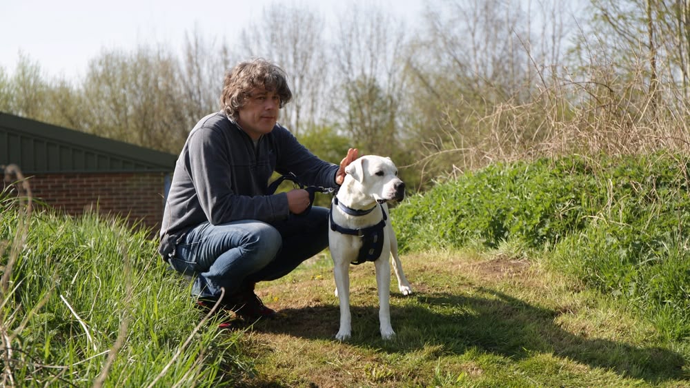 the dog rescuers with alan davies
