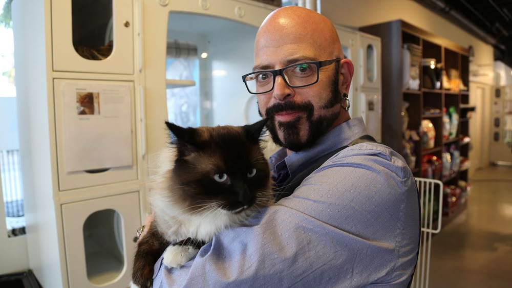 my cat from hell season 9 episode 4