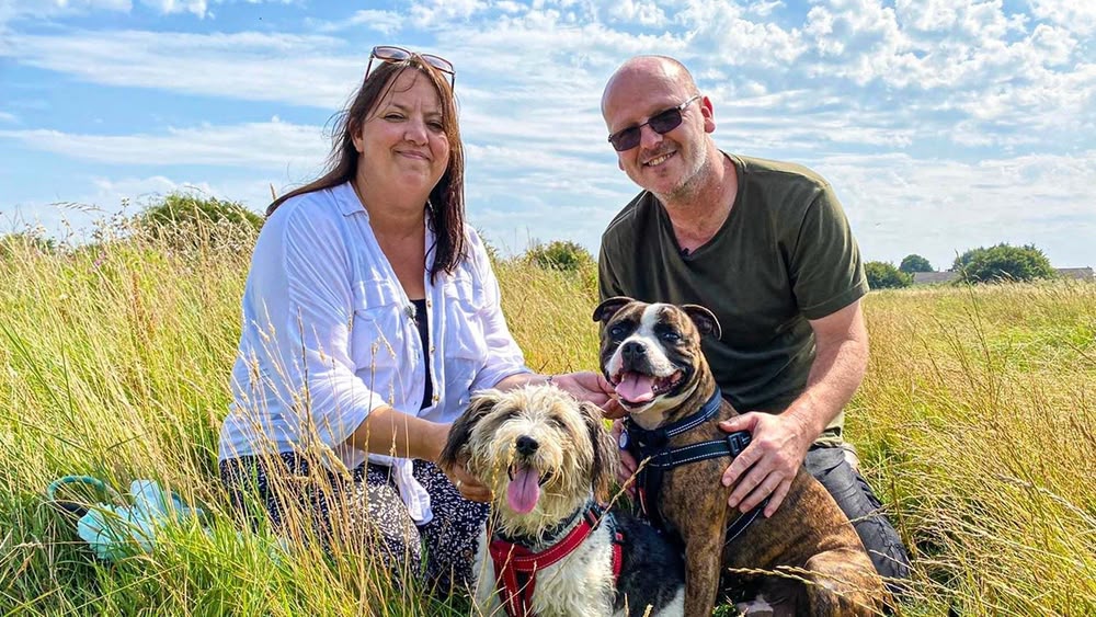 The dog rescuers sales with alan davies