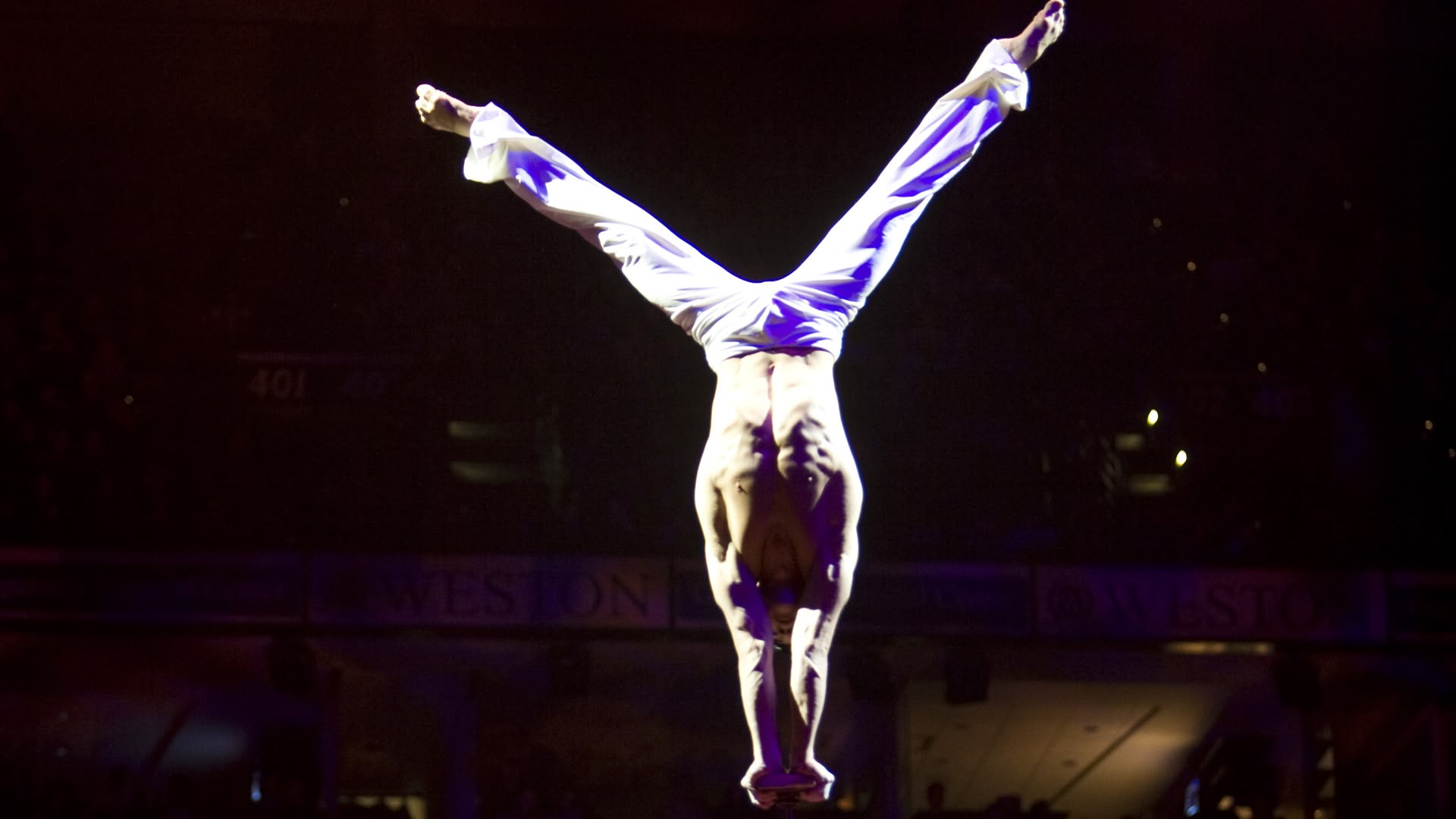 Cirque du Soleil Delirium