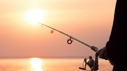 The 32nd annual FishOMania final at the Westwood Lakes in Boston, as anglers from across the UK vie for their chance to claim the coveted title. Last year, David Shires became champion.