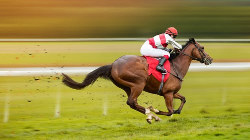 The latest in the series, a comprehensive preview show for Hong Kong racing. With form analysis, trackwork highlights and interviews, an expert team of presenters will also provide their selections.