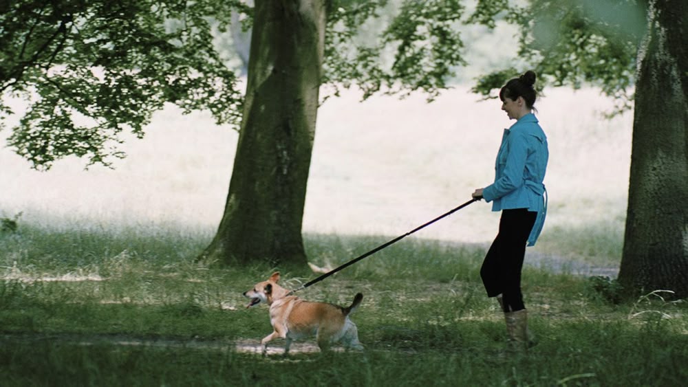 Its Me Or The Dog Season 1 Episode 6 Dogwalls