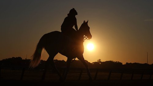 Training racehorses comes with multiple responsibilities and mental pressures. A panel discuss the stresses of the role and a new service offering support to those who need it.